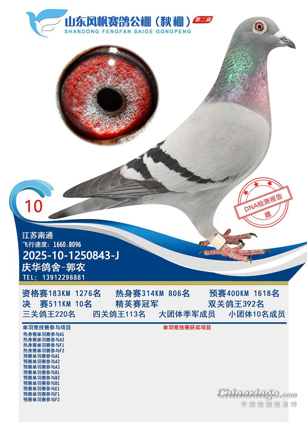 山东风帆赛鸽公棚图片查看-中国信鸽信息网各地公棚